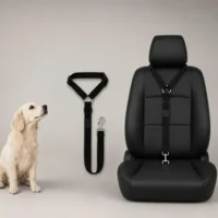 Correa para perros en el auto